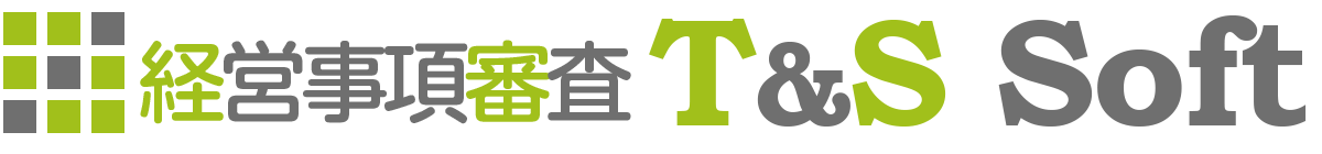 経営事項審査のティーアンドエスソフト